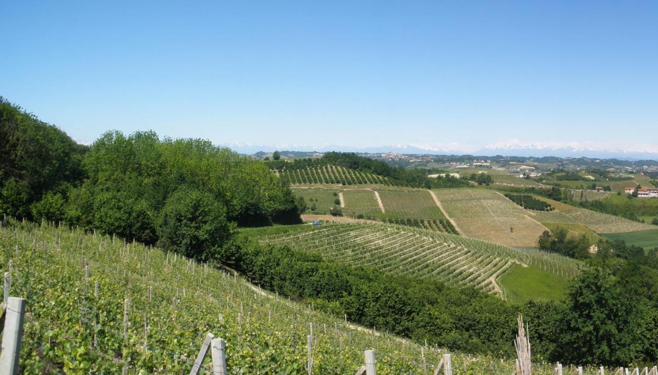 Agriturismo Monbertola 戈沃内 外观 照片